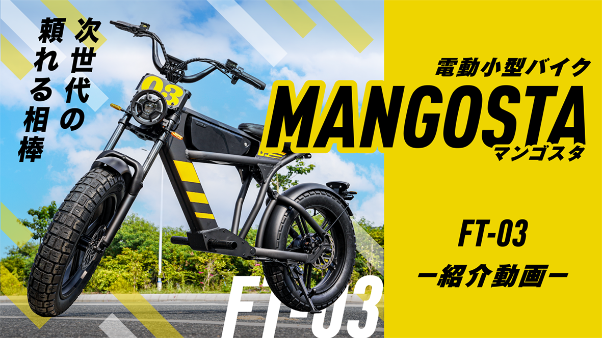 動画を読み込む: 